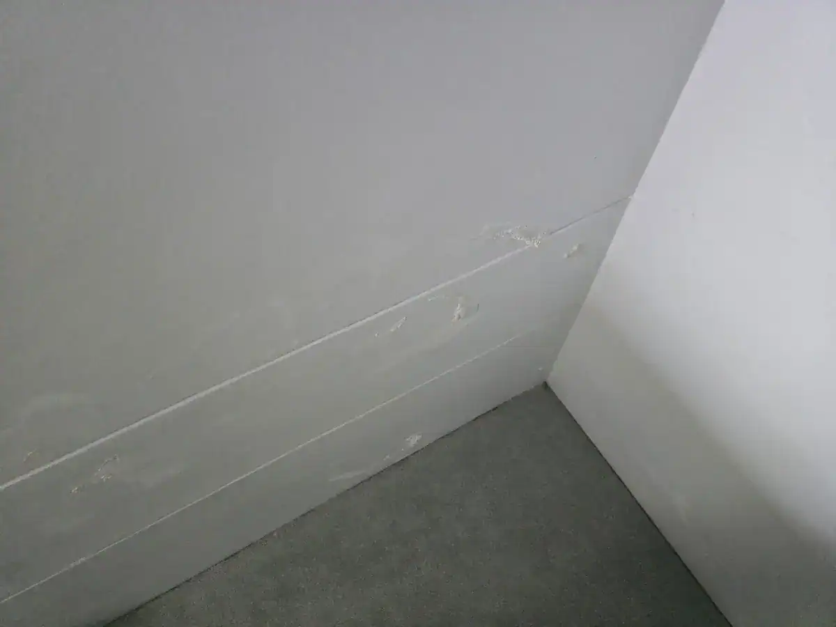 Bubbling and peeling paint on a wall beside a previously leaking shower at a Protea Heights home in Brackenfell