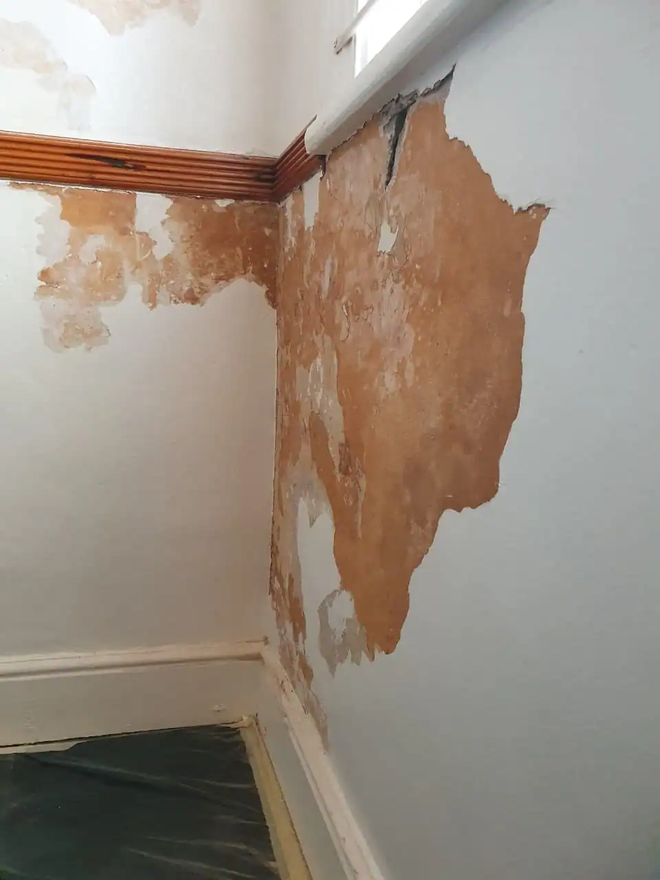 Peeling paint on a damp-affected interior wall before preparation at Cadogan Place in Claremont