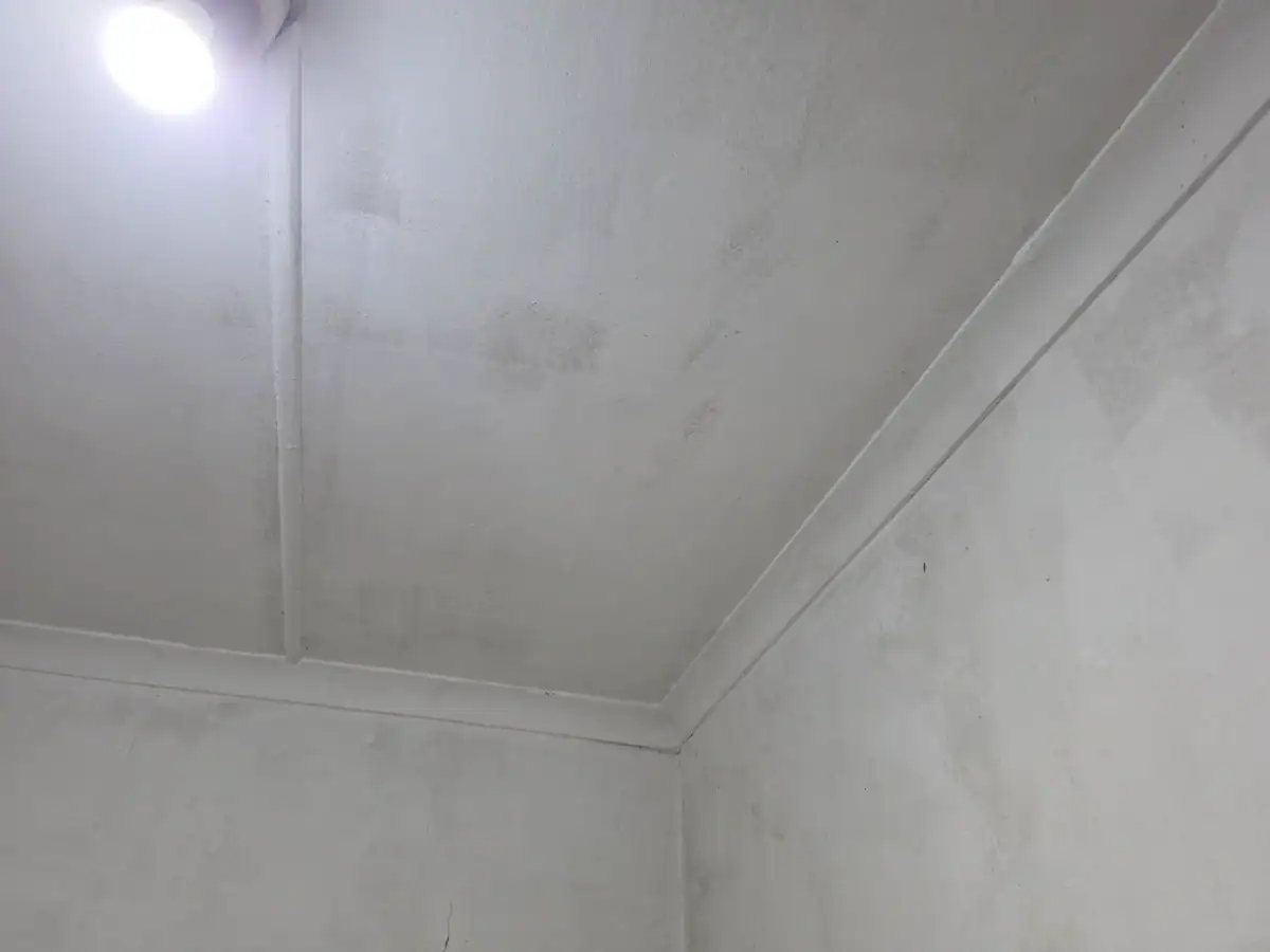 Mould growth across an interior ceiling and upper walls before treatment and painting at a Fish Hoek home