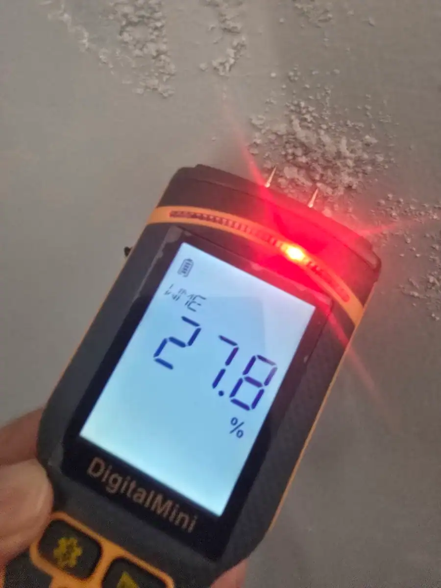 Protimeter displaying a 27.8% WME reading on a damp-affected exterior wall at Steenberg Golf Estate in Tokai