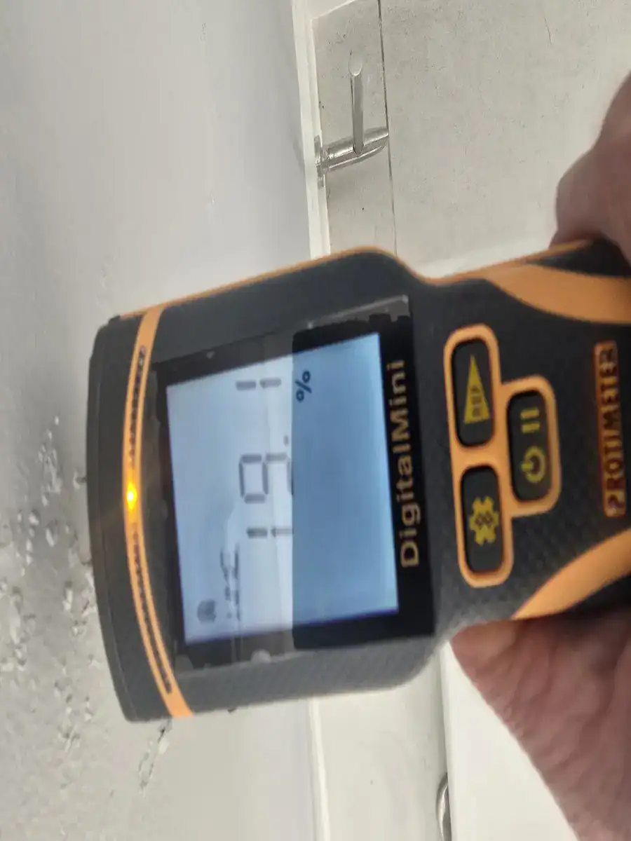 Protimeter showing a 19.1% moisture reading on an interior wall before preparation at an Erinvale Estate home in Somerset West