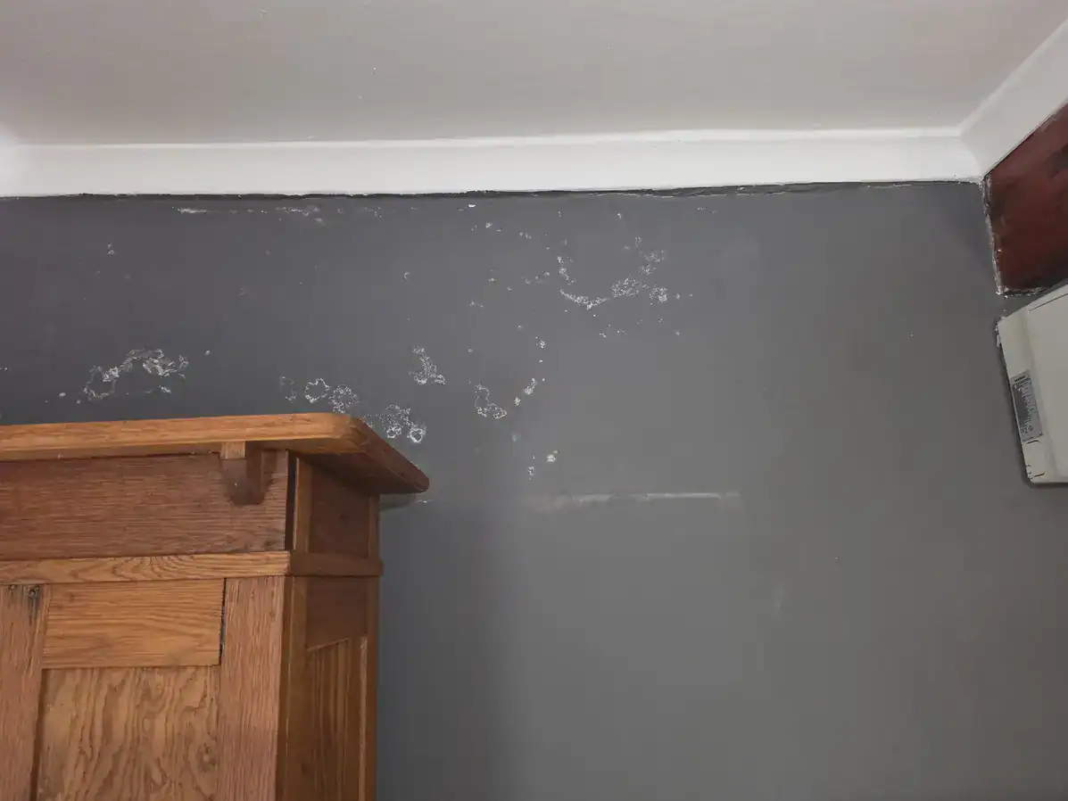 Scattered patches of peeling paint on a grey bedroom wall in Aurora, Durbanville.