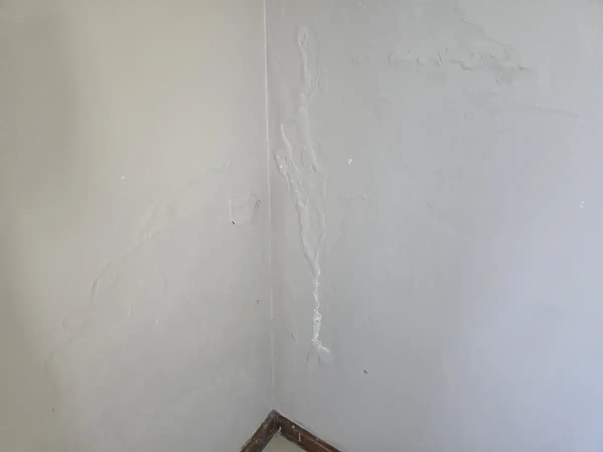 Damp-affected interior wall with bubbling and peeling paint before repairs at De Zalze Estate Stellenbosch